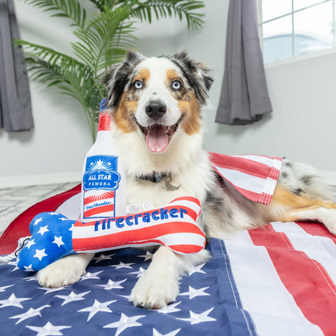 Huxley & Kent Dog Toy Small All Star Pawdka