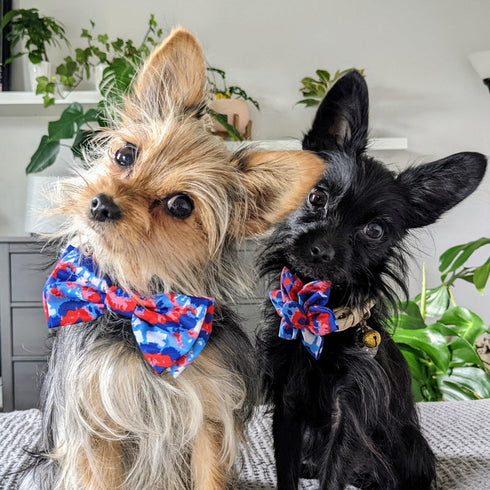 Huxley & Kent Pinwheel Small American Tie