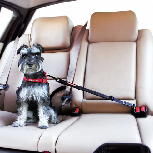 EZYDOG Click Adjustable Car Restraint For Dogs