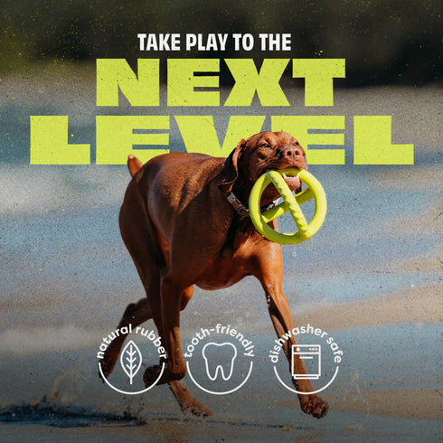 Benebone Bounce Tug Dog Toy