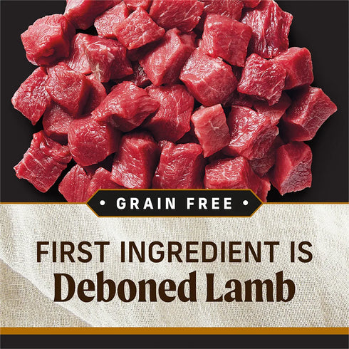 Merrick Backcountry Grain Free Raw Infused Dry Dog Food - Big Game - 20lb Bag