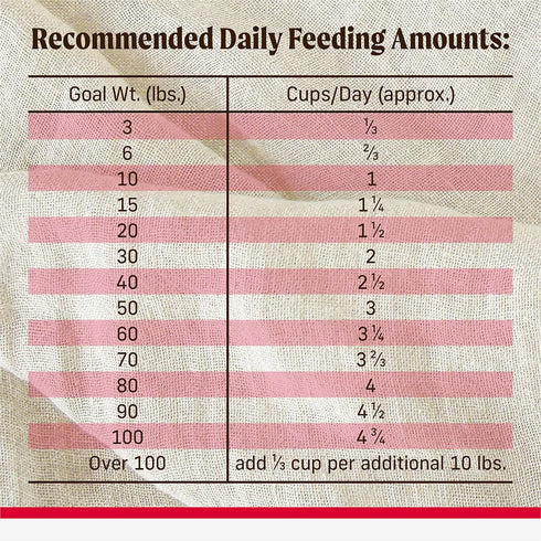 Merrick Backcountry Healthy Grains Raw Infused Dry Dog Food - Great Plains Red - 4lb Bag