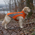 Bay Dog Saginaw 2.0 Fleece Dog Coat - Small - Orange