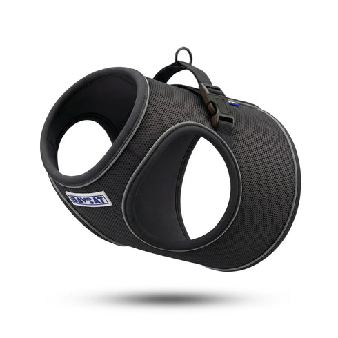 BayCat Adventure Cat Harness - Medium - Black