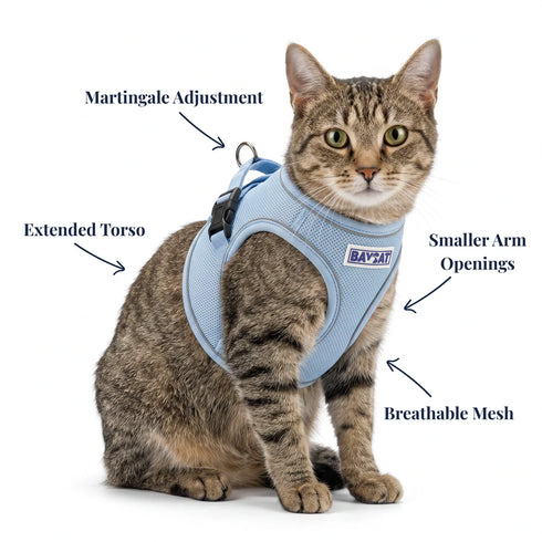 BayCat Adventure Cat Harness - Medium - Blue