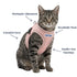 BayCat Adventure Cat Harness - Medium - Pink