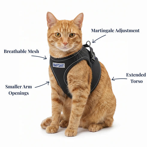BayCat Adventure Cat Harness - Medium - Black