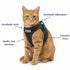 BayCat Adventure Cat Harness - Medium - Black
