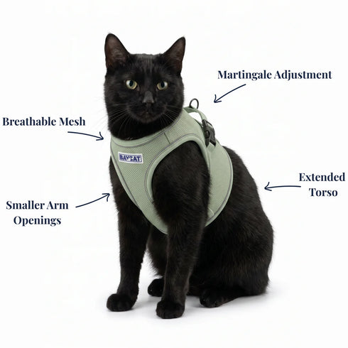 BayCat Adventure Cat Harness - Small - Green