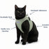 BayCat Adventure Cat Harness - Small - Green