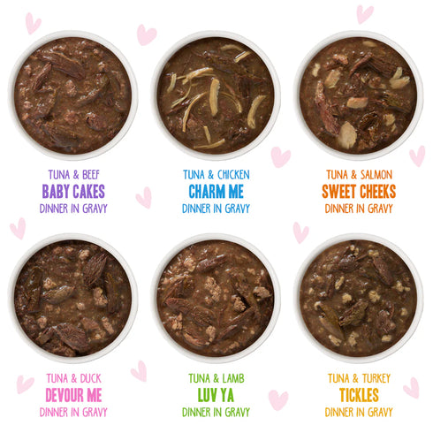 BFF OMG Wet Cat Food - Rainbow A Gogo Variety Pack - 3oz Pouches