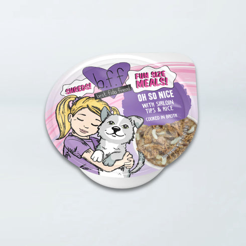 Weruva BFF Dog Fun Size Meals Wet Dog Food - Oh So Nice - 2.75oz Cup