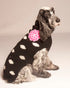 Chilly Dog Knitted Dog Sweater - X-Small - Flower Power