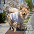 Shedrow K9 Brentwood Cable Knit Dog Sweater - X-Small - Orchid Ice