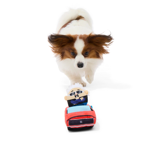 BARK Guy's K9 Camaro Multi-Part Dog Toy - Small
