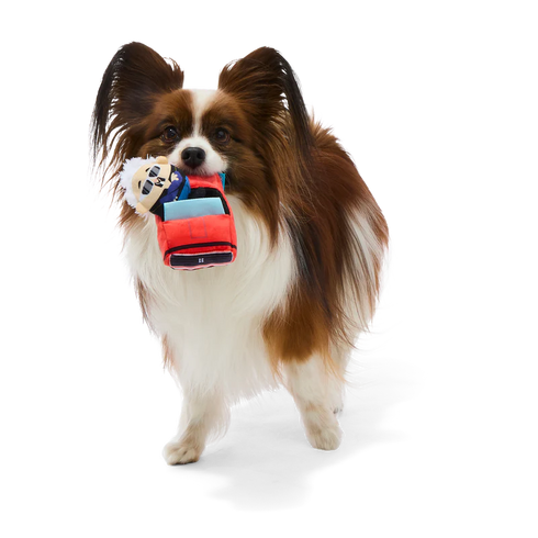 BARK Guy's K9 Camaro Multi-Part Dog Toy - Small