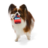 BARK Guy's K9 Camaro Multi-Part Dog Toy - Small