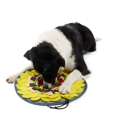 BARK Trashcan Dogchos Snuffle Mat Dog Toy - Medium/Large