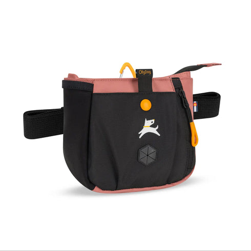Olly Dog Backcountry Day Bag - Desert