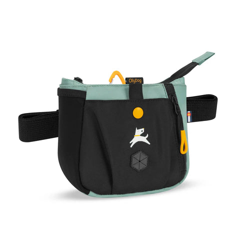 Olly Dog Backcountry Day Bag - Surf