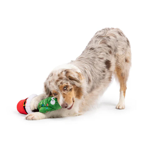 Huxley & Kent Seek'n Treat Prickly & Bright Pawt Dog Toy