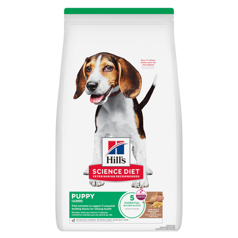 Science Diet Puppy Dry Dog Food - Lamb & Rice - 4lb Bag