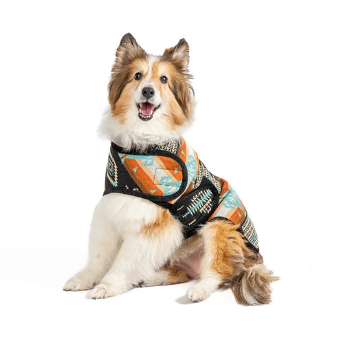Chilly Dog Blanket Dog Coat - Small - Black Canyon