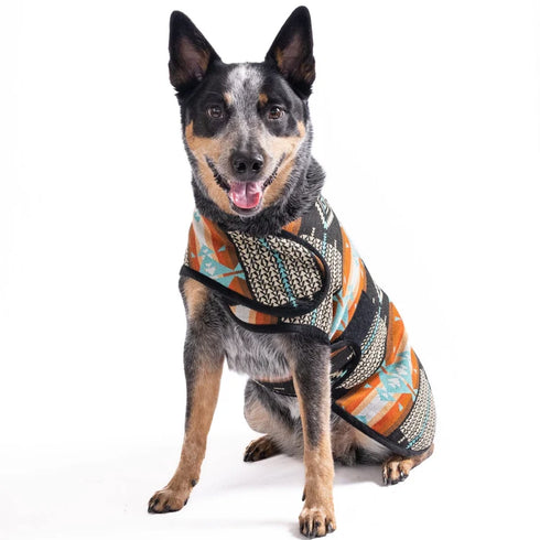 Chilly Dog Dog Blanket Coat - Large - Black Canyon