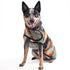 Chilly Dog Blanket Dog Coat - Small - Black Canyon