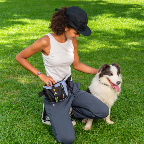 OllyDog Backcountry Dog Day Bag - Hip Pack - Blue Heron