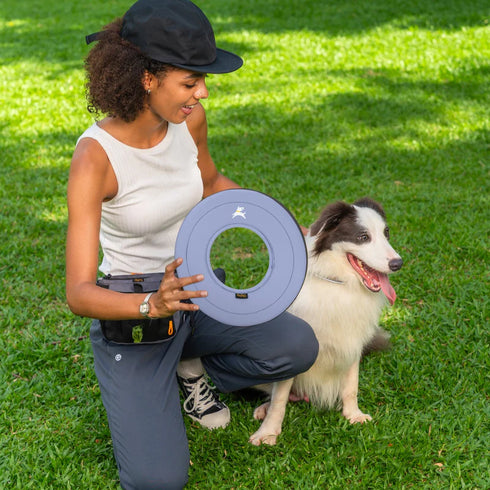 Olly Dog Super Flyer Dog Fetch Toy - Blue Heron