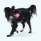 West Paw Bounder Dog Toy - L - Hot Pink