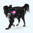 West Paw Bounder Dog Toy - L - Glow