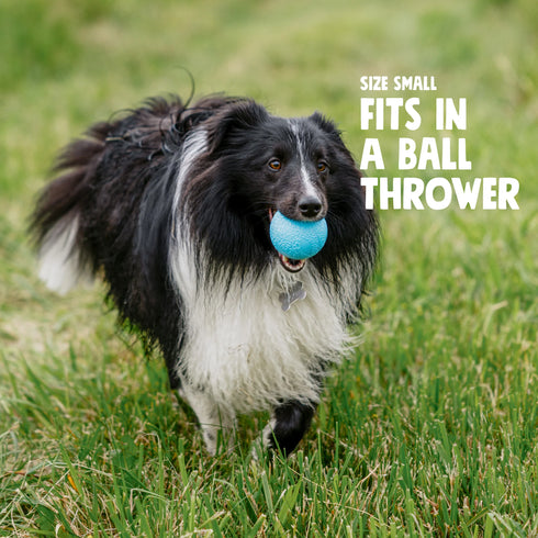 West Paw Bounder Dog Toy - S - Glow - Pack of 2