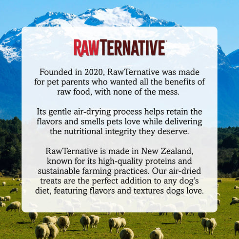 RawTernative Air Dried Cat Food - Beef & Chicken - 5oz Pouch