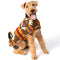 Chilly Dog Blanket Dog Coat - Medium - Southwest Brown