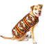Chilly Dog Blanket Dog Coat - Medium - Southwest Brown