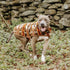 Chilly Dog Blanket Dog Coat - Medium - Southwest Brown