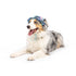 Huxley & Kent Dog Bucket Hats with Snugfit - Large - Blue Madras
