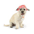 Huxley & Kent Dog Bucket Hats with Snugfit - Medium - Strawberries