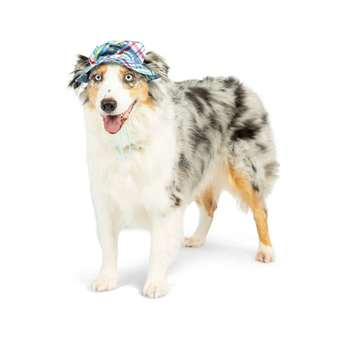 Huxley & Kent Dog Bucket Hats with Snugfit - Large - Blue Madras
