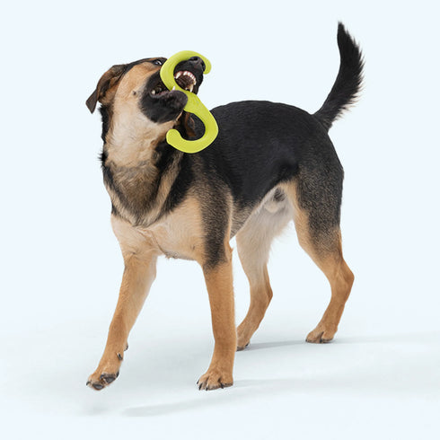 West Paw Bumi Dog Toy - Ruby - Small