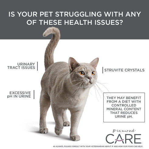 Diamond Care Urinary Support Dry Cat Food - Chicken - 15lb Bag