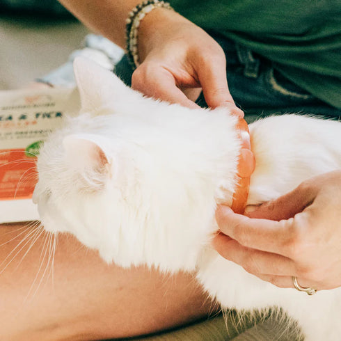 Wondercide Flea & Tick Cat Collar - Peppermint