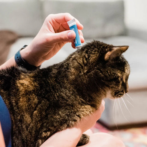 Wondercide Flea & Tick Spot On Treatment For Cats - Peppermint