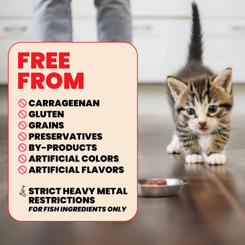 Almo Nature Kitten HQS Wet Cat Food - Chicken in Broth - 2.47 Can