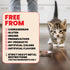 Almo Nature Kitten HQS Wet Cat Food - Chicken in Broth - 2.47 Can