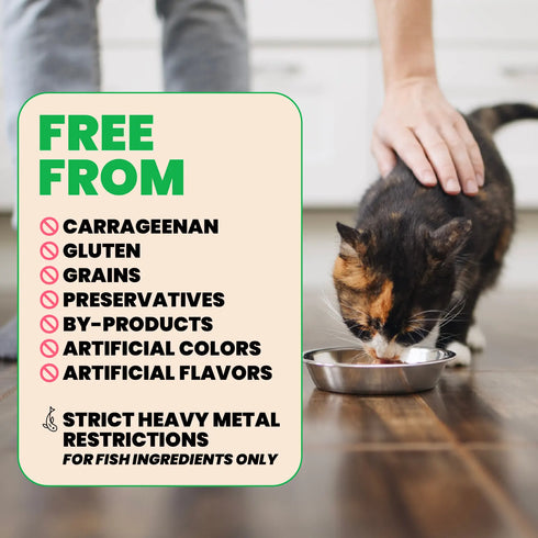 Almo Nature Natural HQS Wet Cat Food - Chicken Breast in Broth - 2.47oz Can