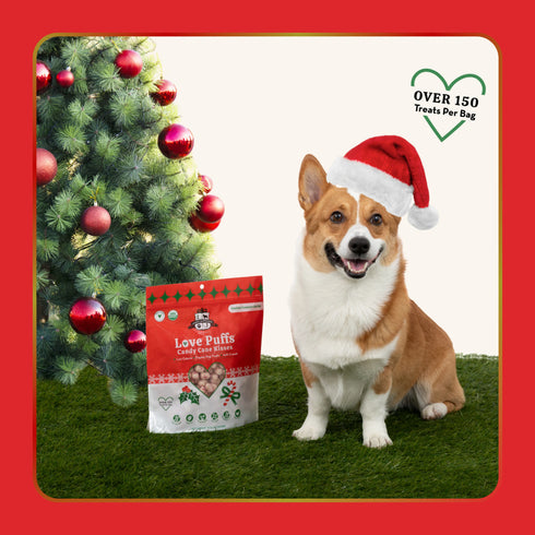 Lord Jameson Love Puffs Candy Cane Kisses Organic Dog Treats - Coconut - 4oz Pouch