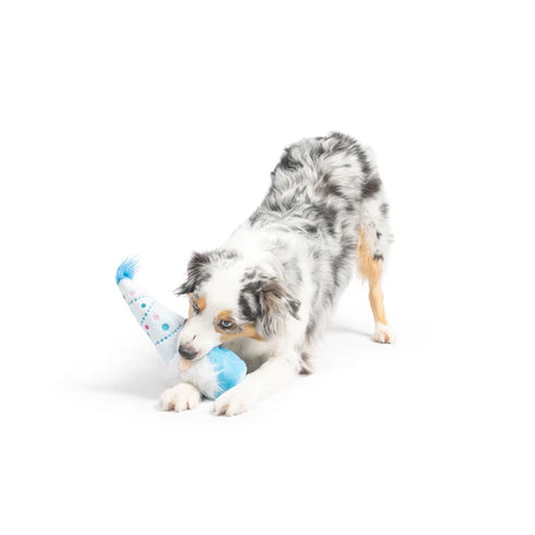 Huxley & Kent Fetchies Winter Wonder Gnome Dog Toy